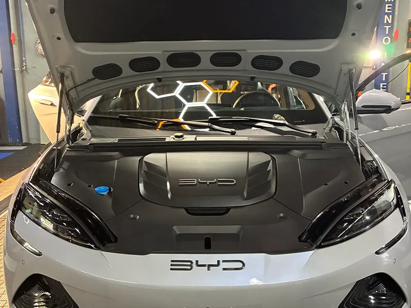 Fotos do nosso portfólio