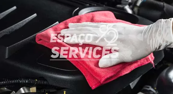 Lavagem de motor